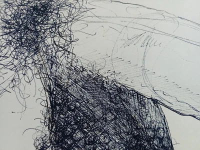 Original Pen & Ink Art Anatomy Drawing Male Penis Hand Drawn Illustration - Image 1 of 4