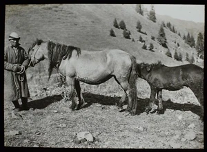 ANTIGUA Linterna Mágica Diapositiva HOMBRE CON CABALLOS C1910 FOTO CHINA O MONGOLIA - Imagen 1 de 2