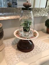 Handcrafted Glass Cloche Dome