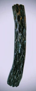 Vivid Cholla • | • Gun Metal • | • Dekor • | • Kunst • | • Holzarbeiten - Bild 1 von 1