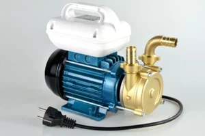 Pompa travaso vino elettrica Reversibile Tellarini EEM 20 per olio gasolio 220V - Imagen 1 de 5
