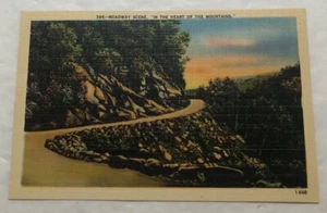 Roadway Scene, "In The Heart Of The Mountains." Postcard (T2) - Picture 1 of 2