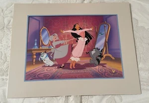 Disney’s Pocahontas Journey to a New World Exclusive Commemorative Lithograph - Picture 1 of 8