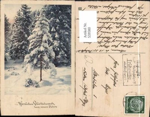 559580,Neujahr Baum Tanne Winter Wald Winterwald - Picture 1 of 1