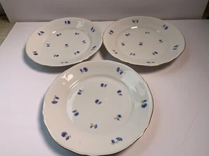 3 Vintage Mitterteich Bavaria Germany BLUE Flowers Dinner Plates 9.75" - Bild 1 von 7