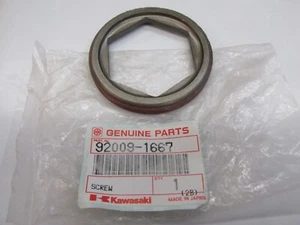2006 KAWASAKI PRAIRIE 700 REAR DIFFERENTIAL PINION BOLT 92009-1667 92172-0341 - Picture 1 of 2