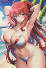Gias High School DxD Witch Swimsuit Card Custume Card