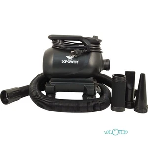 SECADOR PARA COCHE CON BASE MOVIL XPOWER A-12 E0317236GA - Imagen 1 de 4