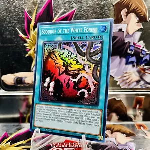Yugioh Scourge Of The White Forest ROTA-EN056 Super Rare 1st Ed NM - Picture 1 of 1