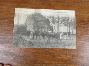 CPA POSTKARTE 1903 LA NORMANDIE LA VACHERE DE BAYEUX 14 CALVADOS - Bild 1 von 2