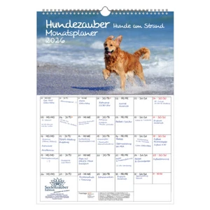 Hundezauber Hunde am Strand Planer DIN A3 Kalender für 2026 Welpen und Hunde - S - Bild 1 von 1
