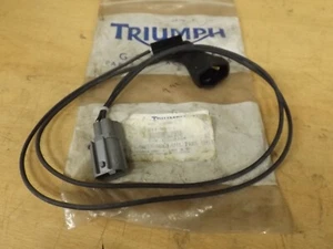 Arnés de cableado de presión neutro/aceite Triumph - Imagen 1 de 4