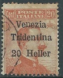 1918 TRENTINO ALTO ADIGE USATO VENEZIA TRIDENTINA EFFIGIE 20 H SU 20 CENT - RA14 - Foto 1 di 1