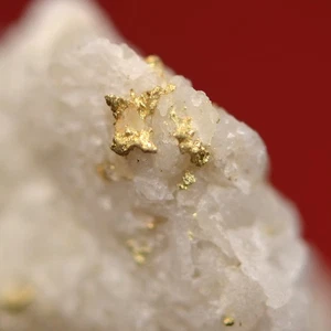 Oro in quarzo, miniera di tomboy (probabilmente), Telluride, San Miguel Co., Colorado 2403 - Foto 1 di 5