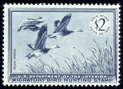 US RW22 $2 Hunting Permit Stamp 1955 Blue Geese F-VF NH - Image 1 of 2