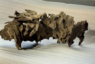 Driftwood For Aquarium - Drift Wood - Terrarium - Root - 20”X9”X9” - Image 1 of 4