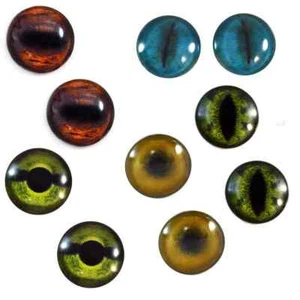 Animal Eyes Collection Bundle - Set of 10 Eyes - Bulk Wholesale - Picture 1 of 9