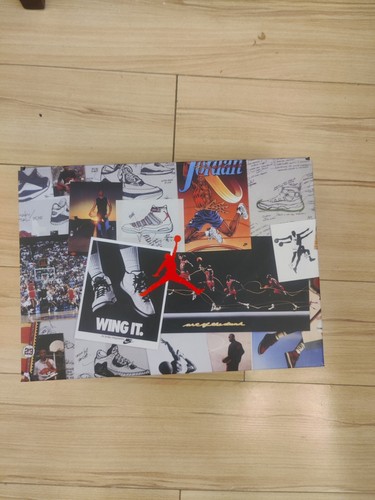 Jordan 6 Riflessi di un Campione