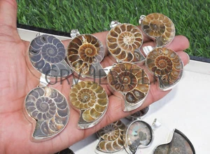 25pcs Ammonite Shell Gemstone Pendant Lot 925 Sterling Silver Plated Wh-137 - Picture 1 of 12