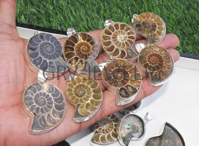 Lote de 25 colgantes de piedras preciosas con concha de amonita enchapados en plata de ley 925 Wh-137 Foto 1 de 4