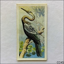 Brooke Bond Tea Card Tropical Birds 1961 #35 Indian Darter (CC45)