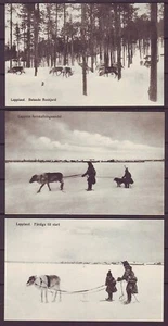 g2540/ Schweden Lappland (3 stk) Postkarte um 1914 # Kinder spielen mit Rentieren - Bild 1 von 2