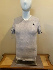 Express Men’s Heather Gray V-Neck T-Shirt With Crest NWT SIZE XS - Picture 1 of 2
