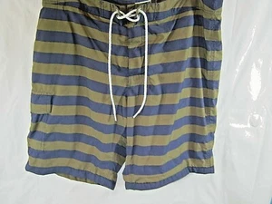 J CREW Mens Sz 34 Lined Beach Swim Surf Casual Summer Suit Trunks Board Shorts - Picture 1 of 7