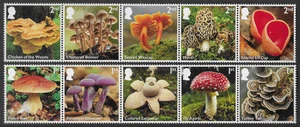 GB 2025 MUSHROOMS FUNGI PLANTS MOSSES & LITCHENS SET MNH - Picture 1 of 1
