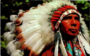 AK Indianer Häuptling Feder Kopfschmuck Farbportrait Foto Tribal - Bild 1 von 6