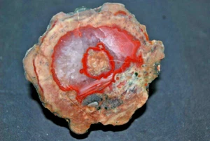 AGATES DE FRÉJUS ( VAR ) LITHOPHYSES DE L'ESTEREL - Foto 1 di 5