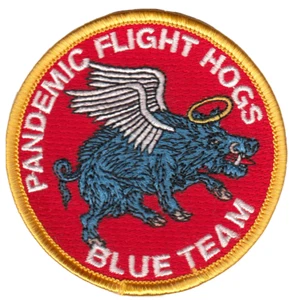 HSC-2 FLEET ANGELS FLIGHT HOGS BLUE TEAM SHOULDER PATCH - Picture 1 of 1