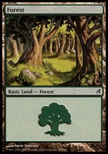 1x Forest (300) MTG Lorwyn NM Magic Regular