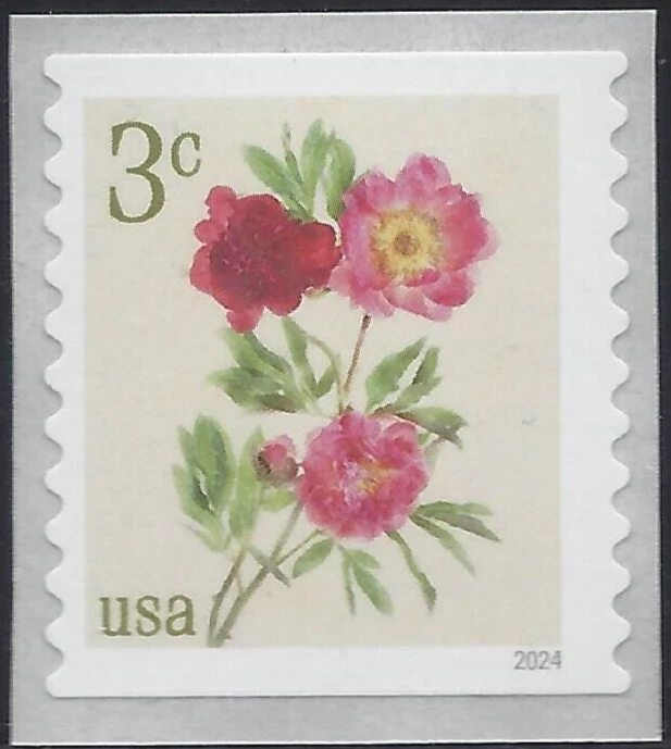 US 2024 Stamps 3 cent Peonies Scott #5904 coil single - Image 1 of 1