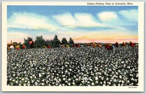 Recogida de algodón de Granada Mississippi - Trabajadores en el campo - Postal vintage de 1942 - Imagen 1 de 2