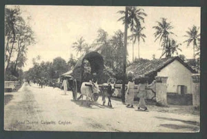 1909 PPC* Oxen Pulling Cart Colpetty Ceylon - Picture 1 of 1