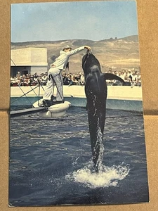 VINTAGE UNUSED POSTCARD - MARINELAND OF THE PACIFIC, CALIFORNIA - Picture 1 of 2