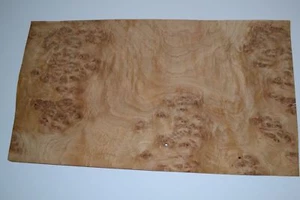 Oak Burl Raw Wood Veneer Sheet 8 x 16 inches 1/42nd E6925-3 - Picture 1 of 8
