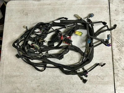 Harley Davidson Street XG750 2017 arnés de cableado principal OEM HD 750 telar de cable Foto 1 de 4