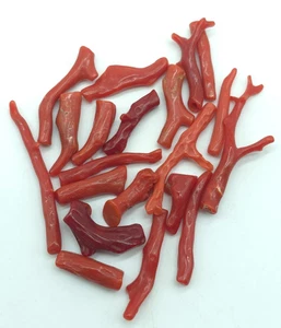 Red Coral Polished Branch Lot 100%Natural Red Coral Branch For Making Jewelry - Picture 1 of 10