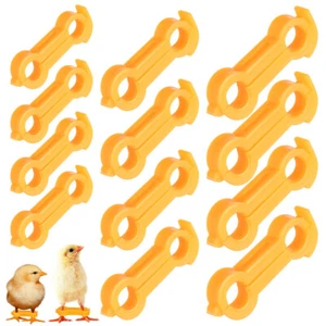 12pcs Chick Leg Brace Chicken Splay Leg Hobble Brace Chicken Leg Support Band - Picture 1 of 11