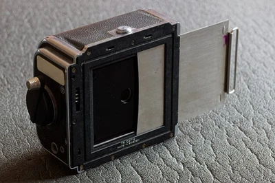 dos A12 pour hasselblad 500c - Photo 1/4