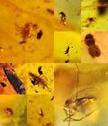 10 Pieces Authentic Burmite Myanmar Amber Insect Fossil Dinosaur Age 4.22-9
