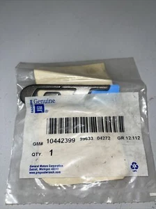 Conjunto de placa GM 10442399, nombre de puerta delantera "Gt" *montaje de bronce oscuro - Imagen 1 de 2