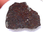 1.69 grams Smokey Spring Meteorite ( class H4 ) slice 2011 Nevada (TKW 254g) COA
