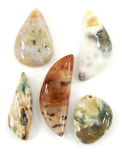 70.20 Ct Natural Ocean Jasper Loose Gemstone 19-32 mm Cabochon 5 Pcs Lot - 64830 - Picture 1 of 5