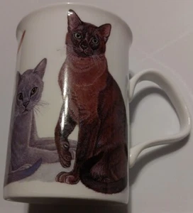 Taza de té de café para gato porcelana de hueso fino Henley Collection England 2013 - Imagen 1 de 10
