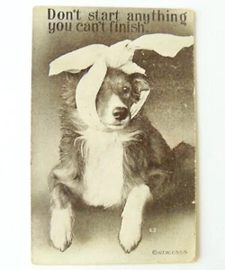 Vintage 1910 Comic Injured Dog Postcard - Don't Start Anything You Can't Finish - Picture 1 of 2
