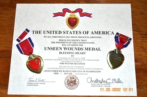 The Unseen Wounds Medal, Certificate Agent Orange PTSD training accident Lejeune - Picture 1 of 4