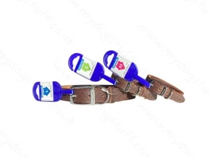 Collare in pelle con borchie diamantate OMAGGIO P&P M036 - Foto 1 di 4